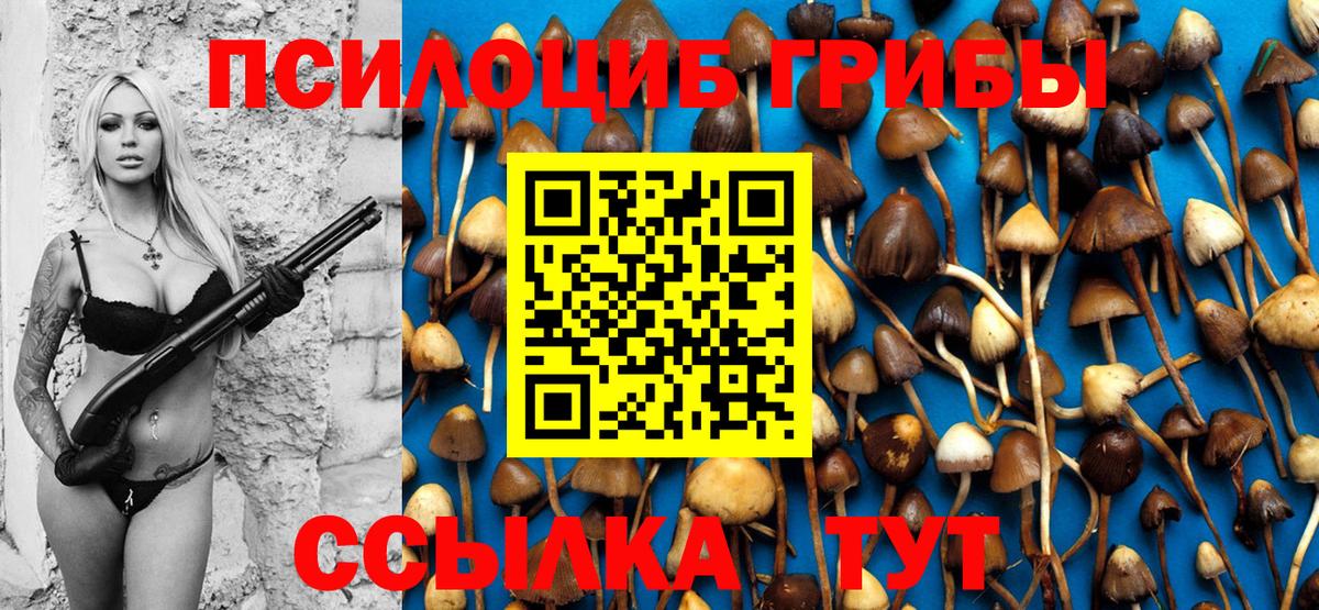 Псилоцибиновые грибы Cubensis Клин